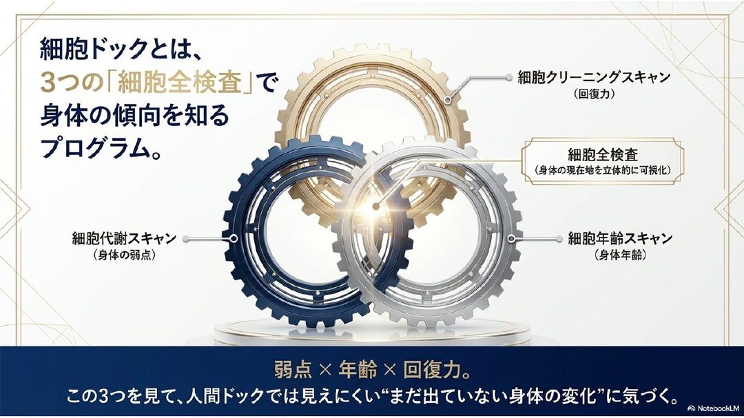 3つの「細胞全検査」(代謝・身体年齢・回復力)