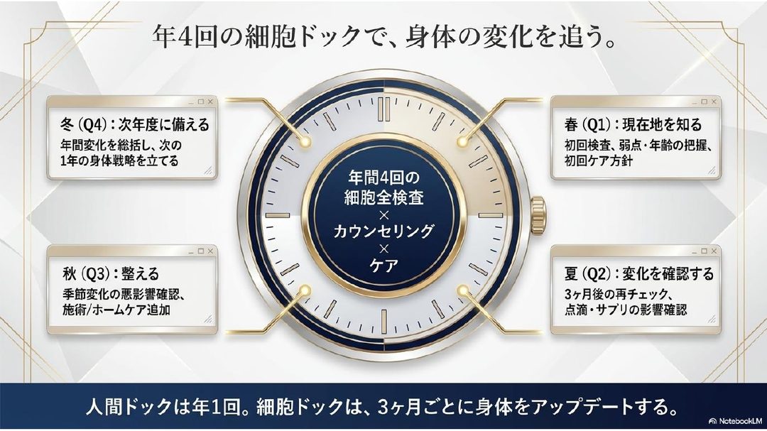 年4回、3ヶ月ごとに身体の変化を追う